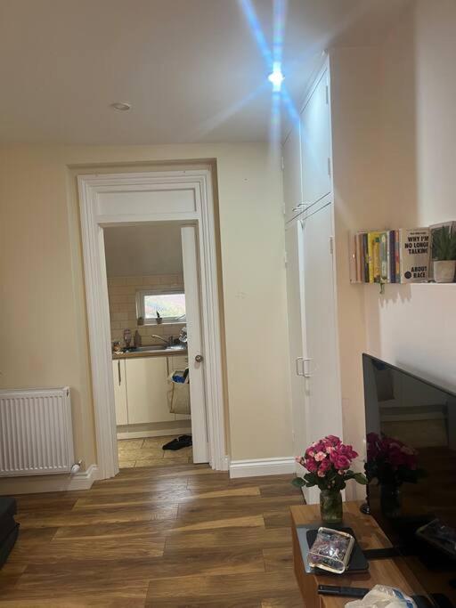 Large Modern Studio Flat Lejlighed London Eksteriør billede